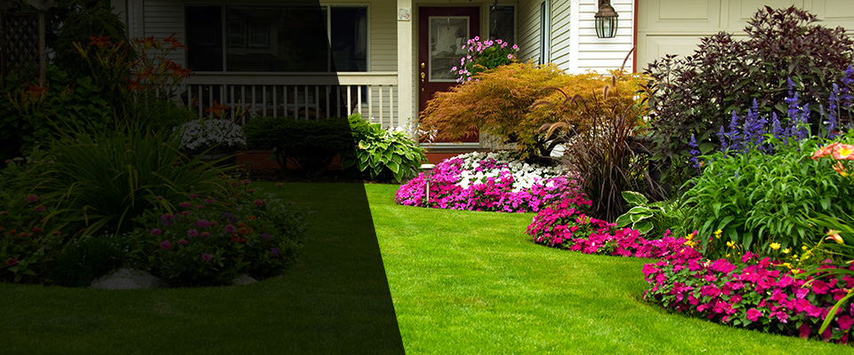 San Benito Landscapers
