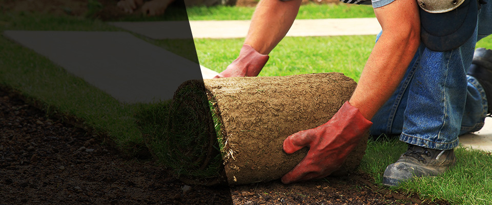 San Benito Landscapers